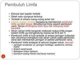 Pembuluh Limfa
 Dimulai dari kapiler limfatik
 Salah satu ujungnya tertutup
 Terletak di antara ruang-ruang antar sel.
 Kapiler-kapiler limfatik bergabung membentuk pembuluh
limfa yg lebih besar (Strukturnya mirip seperti pembuluh
vena, hanya dindingnya lebih tipis dan katupnya lebih
banyak).
 Aliran cairan limfa bergerak melewati nodus limfa (organ
sistem limfik yg mengandung massa sel B & sel T)
 Pembuluh limfa di kulit terletak di antara jaringan subkutan
dan umumnya mengikuti rute aliran cairan pada pembuluh
vena dan membentuk jaringan di sekitar pembuluh vena.
 Pembuluh limfa terdapat di seluruh bagian tubuh, kecuali:
1. Jaringan avaskular (yi: jaringan kartilago, epidermis, kornea
mata)
2. Sistem saraf pusat
3. Sebagian limpa (spleen)
4. Sumsum tulang merah (red bone marrow)
5
 