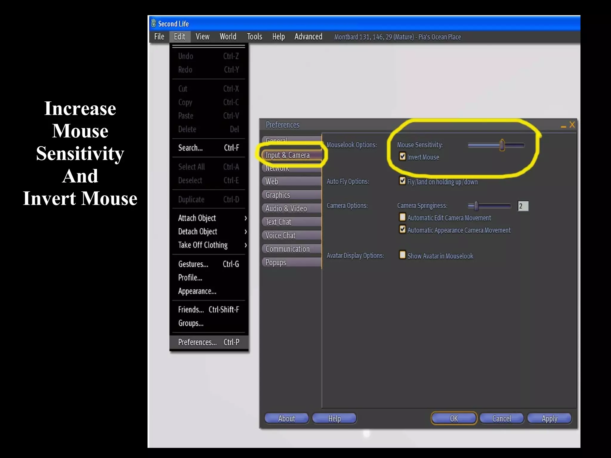 Increase Mouse Sensitivity And Invert Mouse 