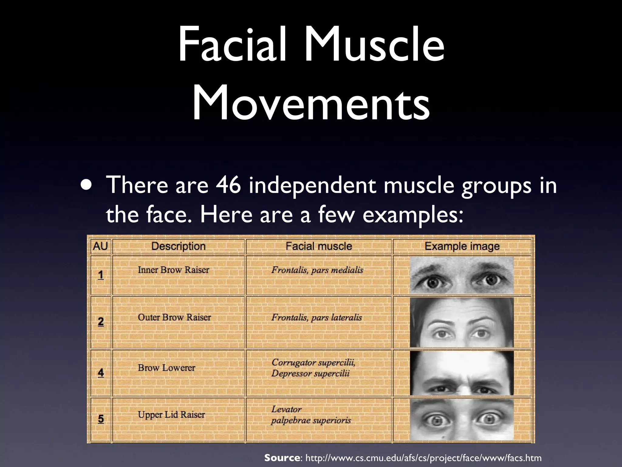 Facial Muscle Movements There are 46 independent muscle groups in the face. Here are a few examples: Source : http://www.cs.cmu.edu/afs/cs/project/face/www/facs.htm 