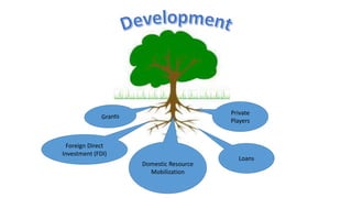 Private
Players
Domestic Resource
Mobilization
Foreign Direct
Investment (FDI)
Loans
 