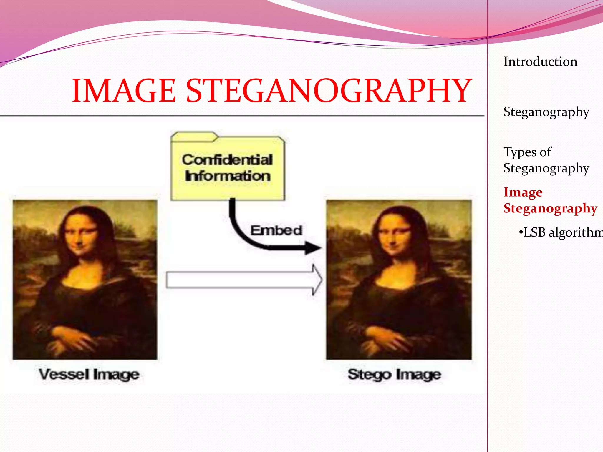 Introduction
Steganography
Image
Steganography
•LSB algorithm
Types of
Steganography
IMAGE STEGANOGRAPHY
 
