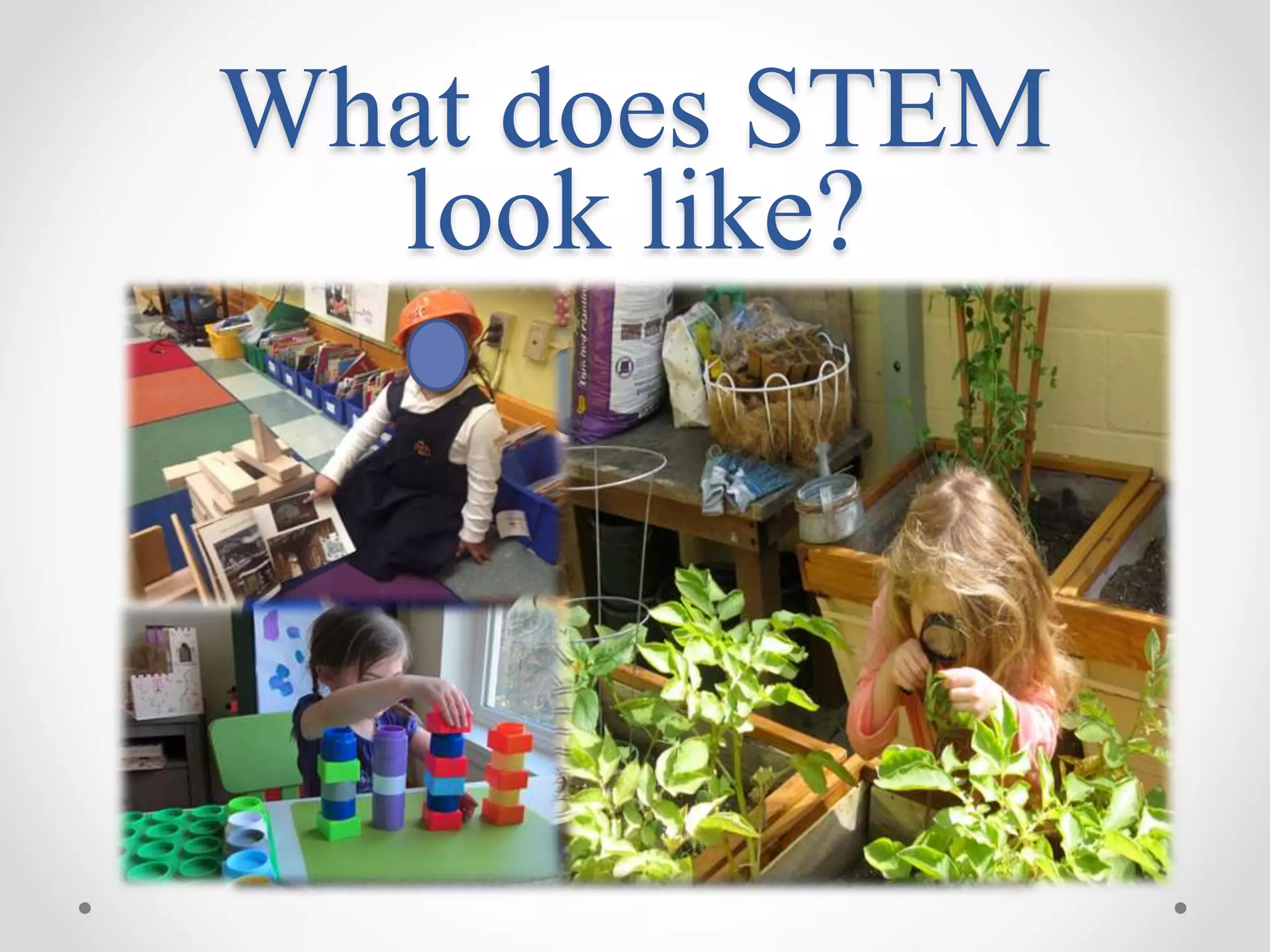 What does STEM
look like?
 
