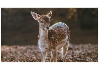 Paulino	 Silva	- START	&	UP	 |	2.mar.2016 3
 