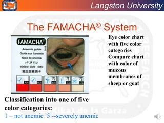Langston University
The FAMACHA© System
Classification into one of five
color categories:
1 – not anemic 5 --severely anem...