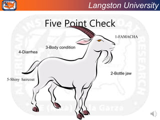 Langston University
Five Point Check
1-FAMACHA
2-Bottle jaw
3-Body condition
4-Diarrhea
5-Shiny haircoat
 