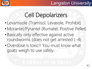 Langston University
Cell Depolarizers
•Levamisole (Tramisol, Levasole, Prohibit)
•Morantel/Pyrantel (Rumatel, Positive Pellet)
•Basically only effective against active
roundworms (does not get arrested L-4)
•Overdose is toxic!! You must know what
goats weigh to use safely.
 