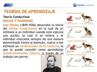 6
TEORÍAS DE APRENDIZAJE
Teoría Conductista
PAVLOV Y THORNDIKE
Iván Pavlov (1849-1936) desarrolla la teoría
del reflejo condicionado en la cual da un
estímulo a un individuo cuando este ejecuta
una acción, la cual si se reitera y el
individuo reacciona siempre de una manera
determinada frente al estímulo, vuelva a ese
estímulo un condicionador de la conducta, lo
que se puede concebir como aprendizaje
(condicionamiento clásico), a través de su
trabajo con perros.
 