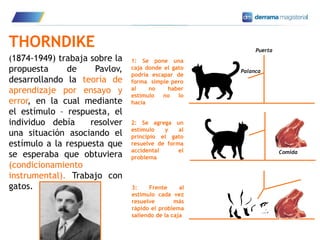 7
THORNDIKE
(1874-1949) trabaja sobre la
propuesta de Pavlov,
desarrollando la teoría de
aprendizaje por ensayo y
error, en la cual mediante
el estímulo – respuesta, el
individuo debía resolver
una situación asociando el
estímulo a la respuesta que
se esperaba que obtuviera
(condicionamiento
instrumental). Trabajo con
gatos.
Comida
Puerta
Palanca
1: Se pone una
caja donde el gato
podría escapar de
forma simple pero
al no haber
estímulo no lo
hacía
2: Se agrega un
estímulo y al
principio el gato
resuelve de forma
accidental el
problema
3: Frente al
estímulo cada vez
resuelve más
rápido el problema
saliendo de la caja
 