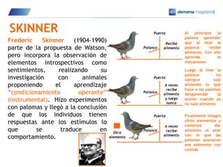 9
SKINNER
Frederic Skinner (1904-1990)
parte de la propuesta de Watson,
pero incorpora la observación de
elementos introspectivos como
sentimientos, realizando su
investigación con animales
proponiendo el aprendizaje
“condicionamiento operante”
(instrumental). Hizo experimentos
con palomas y llegó a la conclusión
de que los individuos tienen
respuestas ante los estímulos lo
que se traduce en
comportamiento.
Puerta
Palanca
Recibe
alimento
Al principio la
paloma aprender
que al tirar la
palanca recibe
alimento. Con ello
aprende el
mecanismo
Puerta
Palanca
A veces
recibe
alimento
y luego
nunca
Luego al tirar la
palanca no
siempre sale
alimento lo que
hace a las palomas
desaprender la
acción cuando ya
no sale alimento
Puerta
Palanca
A veces
recibe
alimento
Finalmente integra
otros elementos y
comenzó dar
alimento al azar
con lo que las
palomas asociaron
ese elemento con
comida
Otro
elemento
 