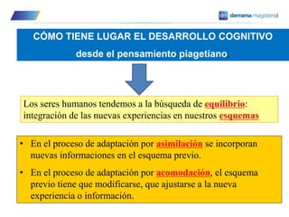 CÓMO TIENE LUGAR EL DESARROLLO COGNITIVO
desde el pensamiento piagetiano.
Los seres humanos tendemos a la búsqueda de equilibrio:
integración de las nuevas experiencias en nuestros esquemas
• En el proceso de adaptación por asimilación se incorporan
nuevas informaciones en el esquema previo.
• En el proceso de adaptación por acomodación, el esquema
previo tiene que modificarse, que ajustarse a la nueva
experiencia o información.
 