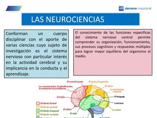 Conforman un cuerpo
disciplinar con el aporte de
varias ciencias cuyo sujeto de
investigación es el sistema
nervioso con particular interés
en la actividad cerebral y su
implicancia en la conducta y el
aprendizaje.
El conocimiento de las funciones especificas
del sistema nervioso central permite
comprender su organización, funcionamiento,
sus procesos cognitivos y respuestas múltiples
para lograr mayor equilibrio del organismo al
medio.
LAS NEUROCIENCIAS
 
