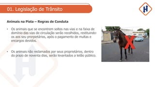 01. Legislação de Trânsito
Animais na Pista – Regras de Conduta
• Os animais que se encontrem soltos nas vias e na faixa de
domínio das vias de circulação serão recolhidos, restituindo-
os aos seu prorpietários, após o pagamento de multas e
encargos devidos.
• Os animais não reclamados por seus proprietários, dentro
do prazo de noventa dias, serão levantados a leilão público.
 