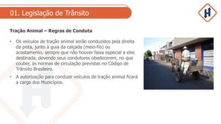 01. Legislação de Trânsito
Tração Animal – Regras de Conduta
• Os veículos de tração animal serão conduzidos pela direita
da pista, junto à guia da calçada (meio-fio) ou
acostamento, sempre que não houver faixa especial a eles
destinada, devendo seus condutores obedecerem, no que
couber, às normas de circulação previstas no Código de
Trânsito Brasileiro.
• A autorização para conduzir veículos de tração animal ficará
a cargo dos Municípios.
 