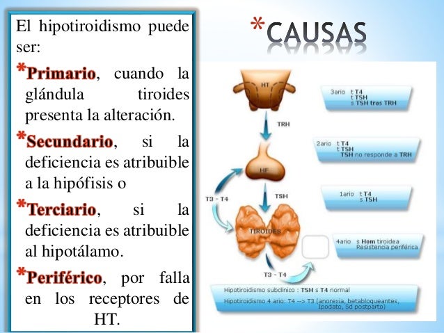 hipertiroidismo e hipotiroidismo ppt Hipotiroidismo e hipertiroidismo.