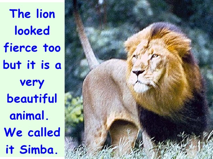 Nouns common and PROPER