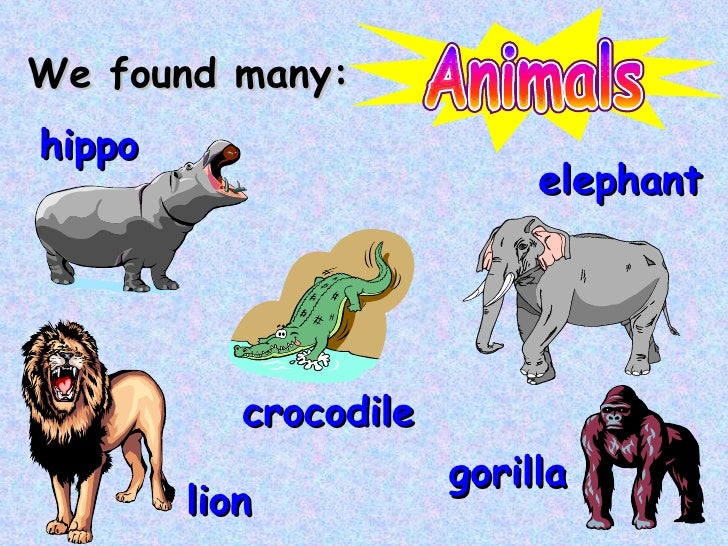 Nouns common and PROPER