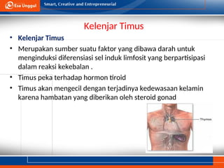 Sel Timus PPT-UEU-Anatomi-Fisiologi-I-Pertemuan-9.ppt