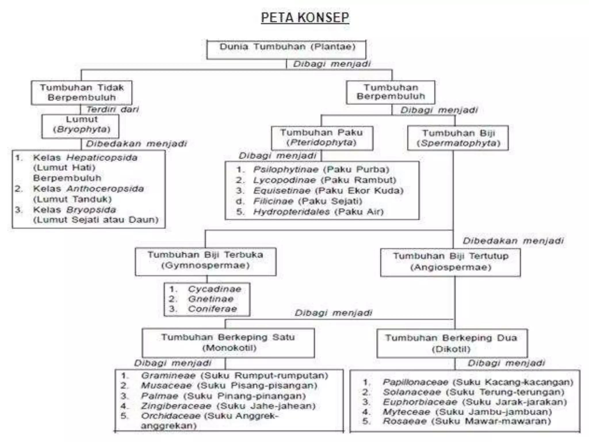 PPT-UEU-Botani-Farmasi-Pertemuan-12.ppt