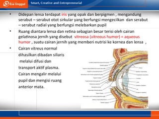 Upil Besar Power point-UEU-Patofisiologi-2-Pertemuan-3.ppt