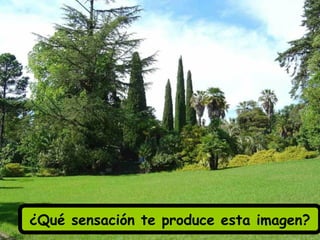 ¿Qué sensación te produce esta imagen?
 