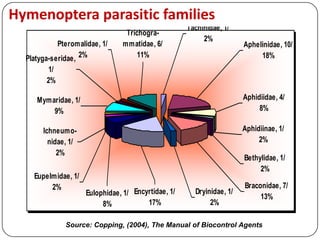 Hymenoptera parasitic families
Source: Copping, (2004), The Manual of Biocontrol Agents
Braconidae, 7/
13%
Dryinidae, 1/
2%
Encyrtidae, 1/
17%
Ichneumo-
nidae, 1/
2%
Eupelmidae, 1/
2%
Mymaridae, 1/
9%
Bethylidae, 1/
2%
Aphidiinae, 1/
2%
Aphidiidae, 4/
8%
Aphelinidae, 10/
18%
Tachinidae, 1/
2%
Trichogra-
mmatidae, 6/
11%
Pteromalidae, 1/
2%
Platyga-seridae,
1/
2%
Eulophidae, 1/
8%
 