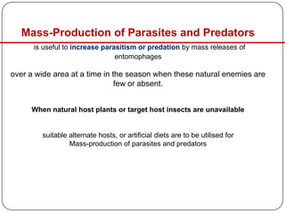 Mass-Production of Parasites and Predators
is useful to increase parasitism or predation by mass releases of
entomophages
over a wide area at a time in the season when these natural enemies are
few or absent.
When natural host plants or target host insects are unavailable
suitable alternate hosts, or artificial diets are to be utilised for
Mass-production of parasites and predators
 