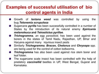 Growth of lantana weed was controlled by using the
bug Telonemia scrupulosa
Sugarcane pyrilla has been successfully controlled in a number of
States by the introduction of its natural enemy Epiricania
melanoleuca and Tetrastictus pyrillae.
Trichogramma, an egg parasitoid, has been used against the
borers in the states of Tamil Nadu, Rajasthan, UP, Bihar and
Haryana against many injurious insect pests
Similarly Trichogramma, Bracon, Chelonus and Chrysopa spp.
are being used for the control of cotton bollworms.
Trichogramma has also been used against rice stem borer and
leaf folder.
The sugarcane scale insect has been controlled with the help of
predatory coccinellid beetles in UP, West Bengal, Gujarat and
Karnataka.
Examples of successful utilisation of bio
control agents in India
 