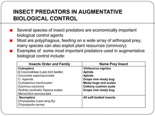 INSECT PREDATORS IN AUGMENTATIVE
BIOLOGICAL CONTROL
Insects Order and Family Name Prey Insect
Coleoptera
i) Coccinellidae (Lady bird beetle)
Coccinella septumpunctata
C. rependa
Crytolaemus montrouzieri
Scymnus coccivora
Rodolia cardinalis Tapioca scales
Menochilus sexmaculata
Chilocorus nigritus
Aphids
Aphids
Grape vine mealy bug
Mealy bugs and scales
Cottony cushion scale
Grape vine mealy bug
Neuroptera
Chrysopidae (Lace wing fly)
Chrysoperla carnea
All soft bodied insects
Several species of insect predators are economically important
biological control agents
Most are polyphagous, feeding on a wide array of arthropod prey;
many species can also exploit plant resources (omnivory)
Examples of some most important predators used in augmentative
biological control include:
 