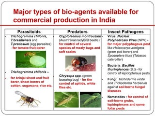Major types of bio-agents available for
commercial production in India
Parasitoids Predators Insect Pathogens
 Trichogramma chilonis,
T.brasiliensis and
T.pretiosum (egg parasites)
- for tomato fruit borer
 Trichogramma chilonis –
 for brinjal shoot and fruit
borer, shoot borers of
cotton, sugarcane, rice etc.
 Cryptolaemus montrouzieri
(Austrtralian ladybird beetle)
for control of several
species of mealy bugs and
soft scales
 Chrysopa spp. (green
lacewing bug) - for the
control of aphids, white
flies etc.
 Virus: Nuclear
Polyhedrosis Virus (NPV) -
for major polyphagous pest
like Helicoverpa armigera
(gram pod borer) and
Spodoptera litura (Tobacco
caterpillar)
 Bacteria: Bacillus
thuringiences (B.t) - for
control of lepidopterous pests
 Fungi: Trichoderma viride
and Trichoderma harziarum
against soil borne fungal
diseases
 Namatodes : for control of
soil-borne grubs,
lepidopterans and some
foliar pests
 
