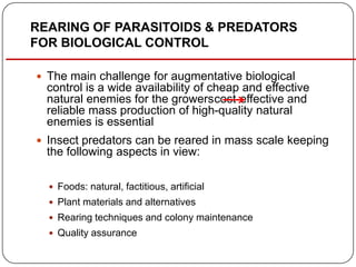 REARING OF PARASITOIDS & PREDATORS
FOR BIOLOGICAL CONTROL
 The main challenge for augmentative biological
control is a wide availability of cheap and effective
natural enemies for the growerscost-effective and
reliable mass production of high-quality natural
enemies is essential
 Insect predators can be reared in mass scale keeping
the following aspects in view:
 Foods: natural, factitious, artificial
 Plant materials and alternatives
 Rearing techniques and colony maintenance
 Quality assurance
 