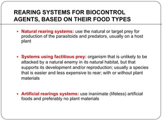 REARING SYSTEMS FOR BIOCONTROL
AGENTS, BASED ON THEIR FOOD TYPES
 Natural rearing systems: use the natural or target prey for
production of the parasitoids and predators, usually on a host
plant
 Systems using factitious prey: organism that is unlikely to be
attacked by a natural enemy in its natural habitat, but that
supports its development and/or reproduction; usually a species
that is easier and less expensive to rear; with or without plant
materials
 Artificial rearings systems: use inanimate (lifeless) artificial
foods and preferably no plant materials
 
