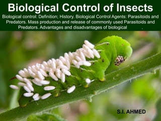 S.I. AHMED
Biological Control of Insects
Biological control: Definition; History. Biological Control Agents: Parasitoids and
Predators. Mass production and release of commonly used Parasitoids and
Predators. Advantages and disadvantages of biological control.
 