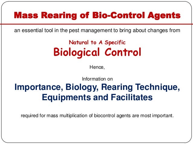 Bio Serve Insect Diet And Rearing