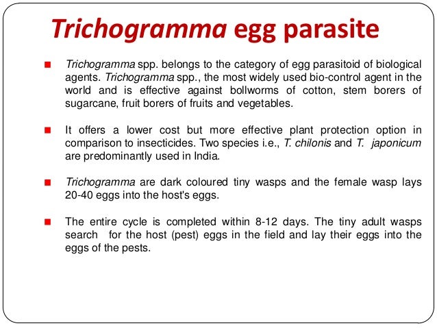 Is Irradiated Food Natural Or Unnatural Is Irradiated Food Natural Or Unnatural