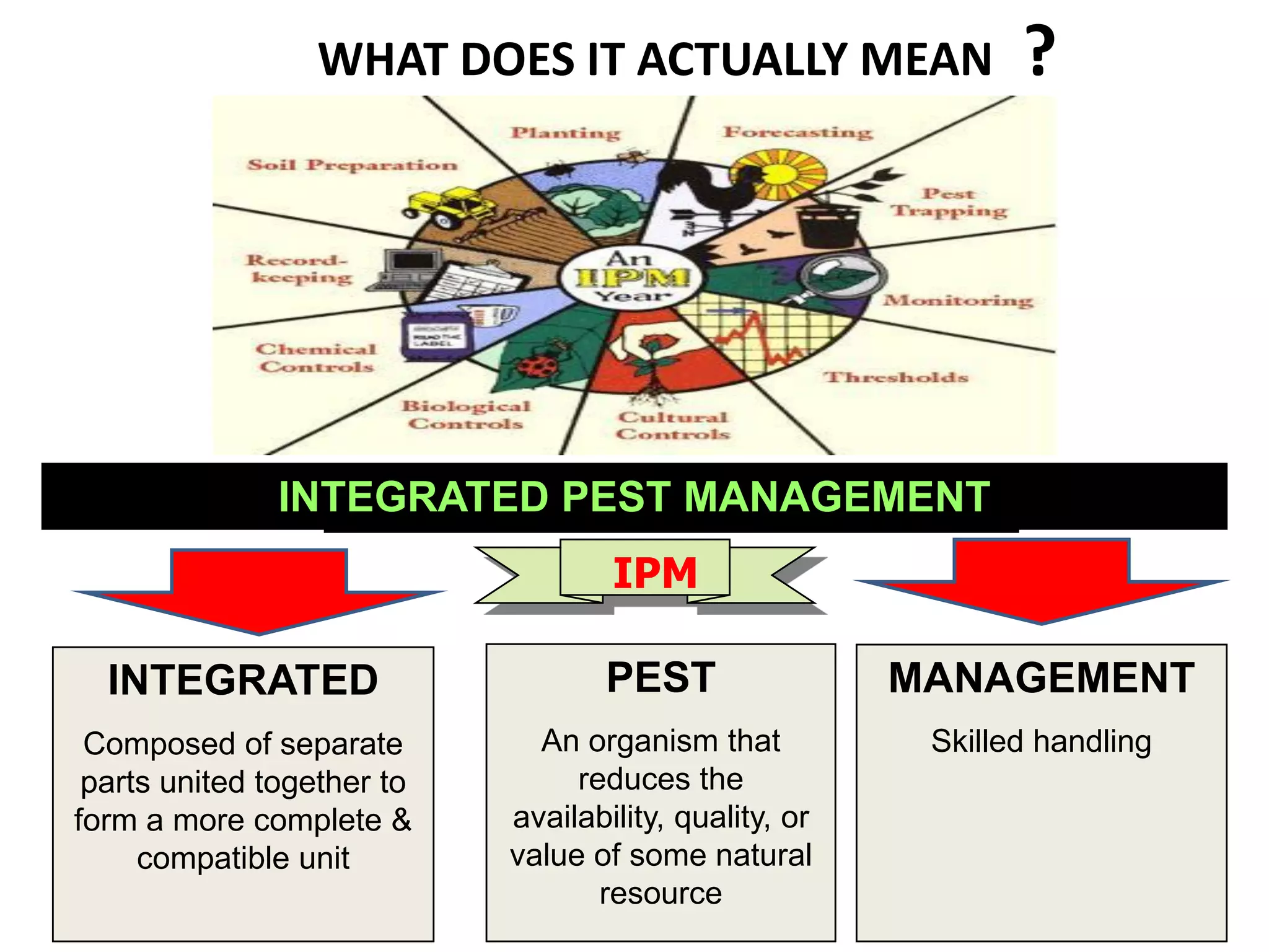 IPM of Forest Insect Pests | PDF