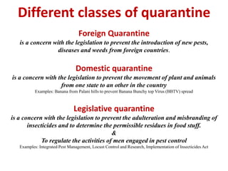 Different classes of quarantine
Foreign Quarantine
is a concern with the legislation to prevent the introduction of new pests,
diseases and weeds from foreign countries.
Domestic quarantine
is a concern with the legislation to prevent the movement of plant and animals
from one state to an other in the country
Examples: Banana from Palani hills to prevent Banana Bunchy top Virus (BBTV) spread
Legislative quarantine
is a concern with the legislation to prevent the adulteration and misbranding of
insecticides and to determine the permissible residues in food stuff.
&
To regulate the activities of men engaged in pest control
Examples: Integrated Pest Management, Locust Control and Research, Implementation of Insecticides Act
 
