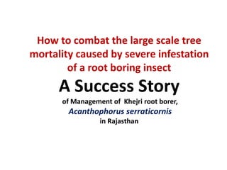 How to combat the large scale tree
mortality caused by severe infestation
of a root boring insect
A Success Story
of Management of Khejri root borer,
Acanthophorus serraticornis
in Rajasthan
 