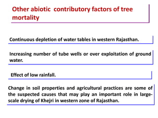 Other abiotic contributory factors of tree
mortality
Continuous depletion of water tables in western Rajasthan.
Increasing number of tube wells or over exploitation of ground
water.
Effect of low rainfall.
Change in soil properties and agricultural practices are some of
the suspected causes that may play an important role in large-
scale drying of Khejri in western zone of Rajasthan.
 
