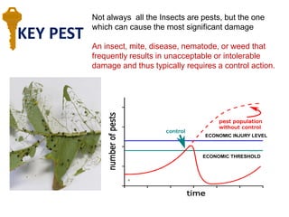 KEY PEST
Not always all the Insects are pests, but the one
which can cause the most significant damage
An insect, mite, disease, nematode, or weed that
frequently results in unacceptable or intolerable
damage and thus typically requires a control action.
a
ECONOMIC INJURY LEVEL
ECONOMIC THRESHOLD
 