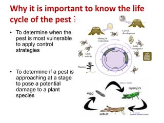 Why it is important to know the life
cycle of the pest ?
• To determine when the
pest is most vulnerable
to apply control
strategies
• To determine if a pest is
approaching at a stage
to pose a potential
damage to a plant
species
 