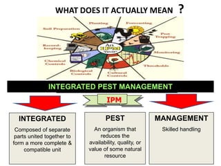 WHAT DOES IT ACTUALLY MEAN ?
MANAGEMENT
Skilled handling
INTEGRATED
Composed of separate
parts united together to
form a more complete &
compatible unit
PEST
An organism that
reduces the
availability, quality, or
value of some natural
resource
INTEGRATED PEST MANAGEMENT
IPM
 