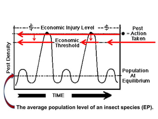 The average population level of an insect species (EP).
 
