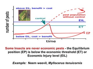 Some Insects are never economic pests - the Equilibrium
position (EP) is below the economic threshold (ET) or
Economic Injury level (EIL)
Example: Neem weevil, Myllocerus tenuicornis
EP
 