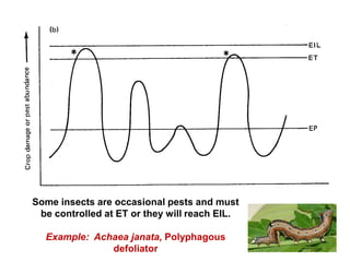 Some insects are occasional pests and must
be controlled at ET or they will reach EIL.
Example: Achaea janata, Polyphagous
defoliator
 