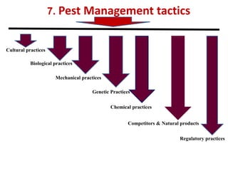 7. Pest Management tactics
Cultural practices
Mechanical practices
Genetic Practices
Biological practices
Regulatory practices
Competitors & Natural products
Chemical practices
 