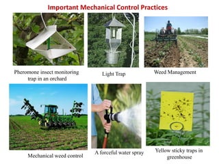 Mechanical weed control
Pheromone insect monitoring
trap in an orchard
Weed Management
Yellow sticky traps in
greenhouse
Light Trap
A forceful water spray
Important Mechanical Control Practices
 