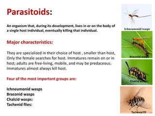 Parasitoids:
An organism that, during its development, lives in or on the body of
a single host individual, eventually killing that individual.
Major characteristics:
They are specialized in their choice of host , smaller than host,
Only the female searches for host. Immatures remain on or in
host; adults are free-living, mobile, and may be predaceous.
Immatures almost always kill host.
Four of the most important groups are:
Ichneumonid wasps
Braconid wasps
Chalcid wasps:
Tachenid flies:
Ichneumonid wasps
Braconid wasps
Chalcid wasps:
Tachenid fiY
 