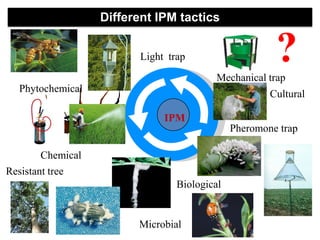 ?
Chemical
Cultural
Biological
Microbial
Light trap
Resistant tree
Phytochemical
Pheromone trap
Mechanical trap
IPM
Different IPM tactics
 