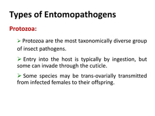 Protozoa:
 Protozoa are the most taxonomically diverse group
of insect pathogens.
 Entry into the host is typically by ingestion, but
some can invade through the cuticle.
 Some species may be trans-ovarially transmitted
from infected females to their offspring.
Types of Entomopathogens
 