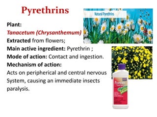 Pyrethrins
Plant:
Tanacetum (Chrysanthemum)
Extracted from flowers;
Main active ingredient: Pyrethrin ;
Mode of action: Contact and ingestion.
Mechanism of action:
Acts on peripherical and central nervous
System, causing an immediate insects
paralysis.
 